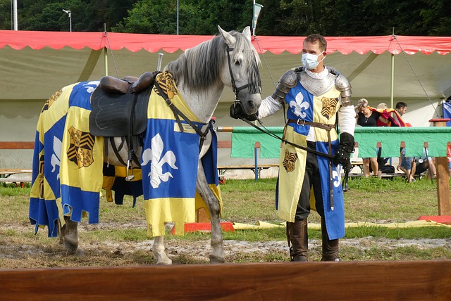 元首访问哈 元首访问哈