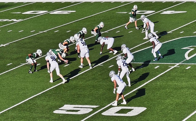 比賽的趣味 比賽的趣味