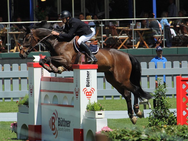 再度崛起 再度崛起